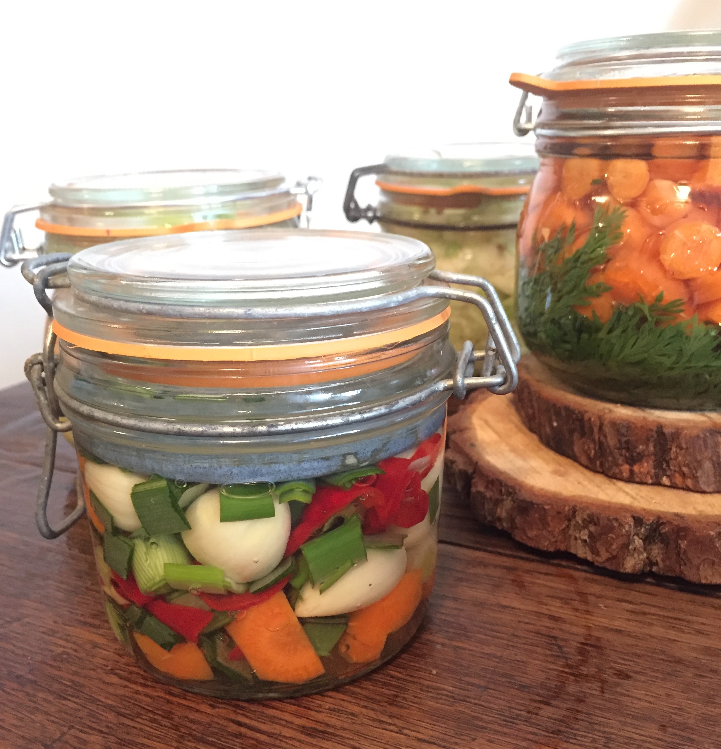 Atelier lactofermentation